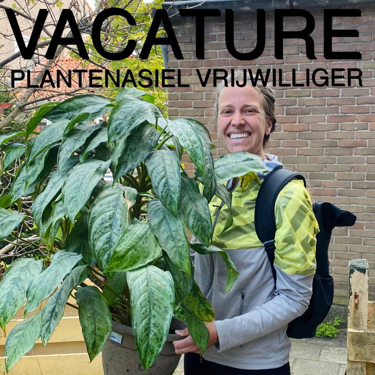 Bericht Vacature: plantenasiel vrijwilliger bekijken