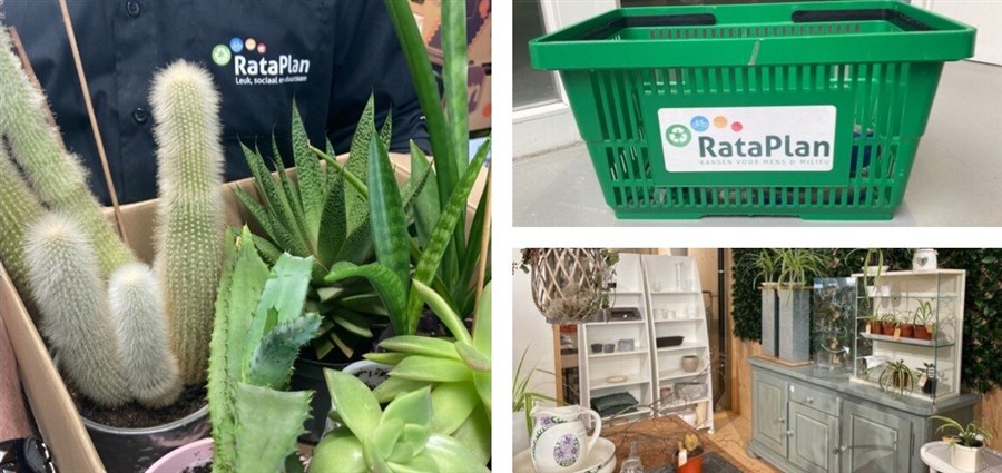 Bericht Kringloopwinkel Rataplan opent plantenasiel  bekijken